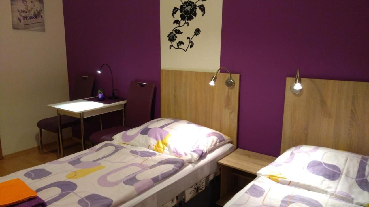 Apartmany - Penzion Smetanka チェスケー・ブジェヨヴィツェ エクステリア 写真