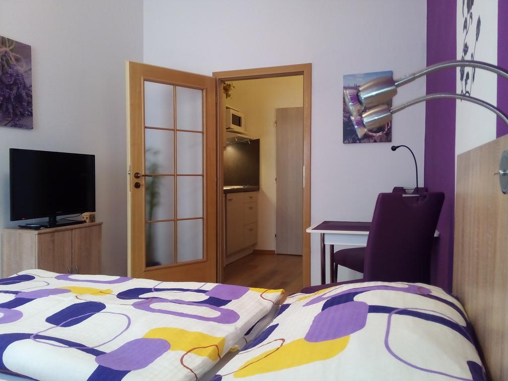 Apartmany - Penzion Smetanka チェスケー・ブジェヨヴィツェ エクステリア 写真