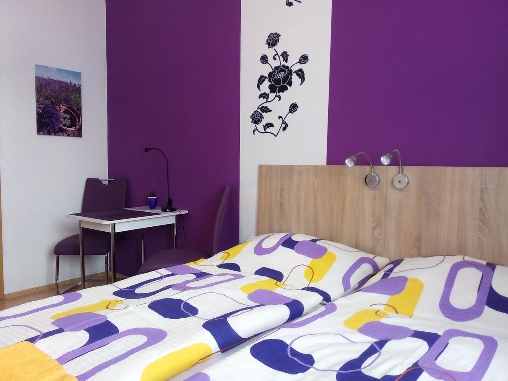 Apartmany - Penzion Smetanka チェスケー・ブジェヨヴィツェ 部屋 写真