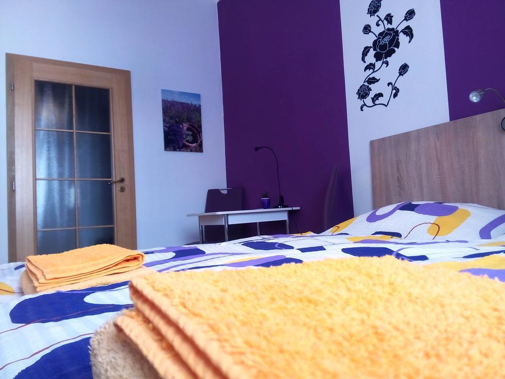 Apartmany - Penzion Smetanka チェスケー・ブジェヨヴィツェ 部屋 写真